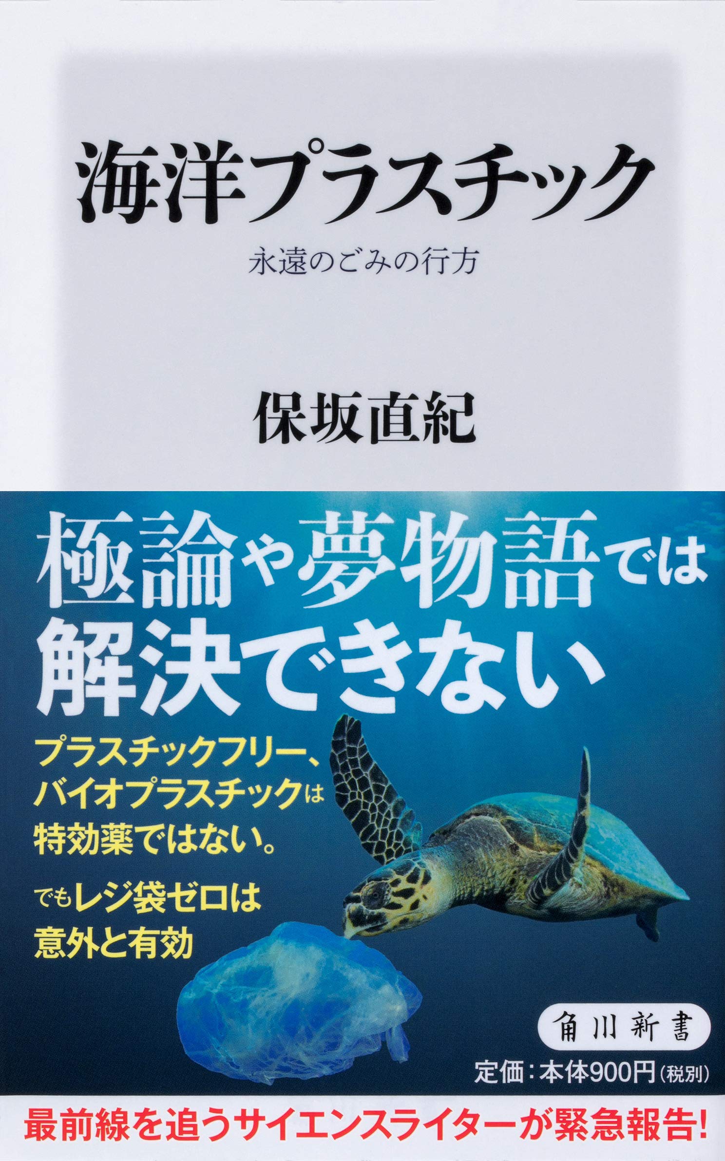 プラスチック大辞典 Amazon.co.jp: 海洋プラスチック 永遠のごみの行方 (角川新書) : 保坂